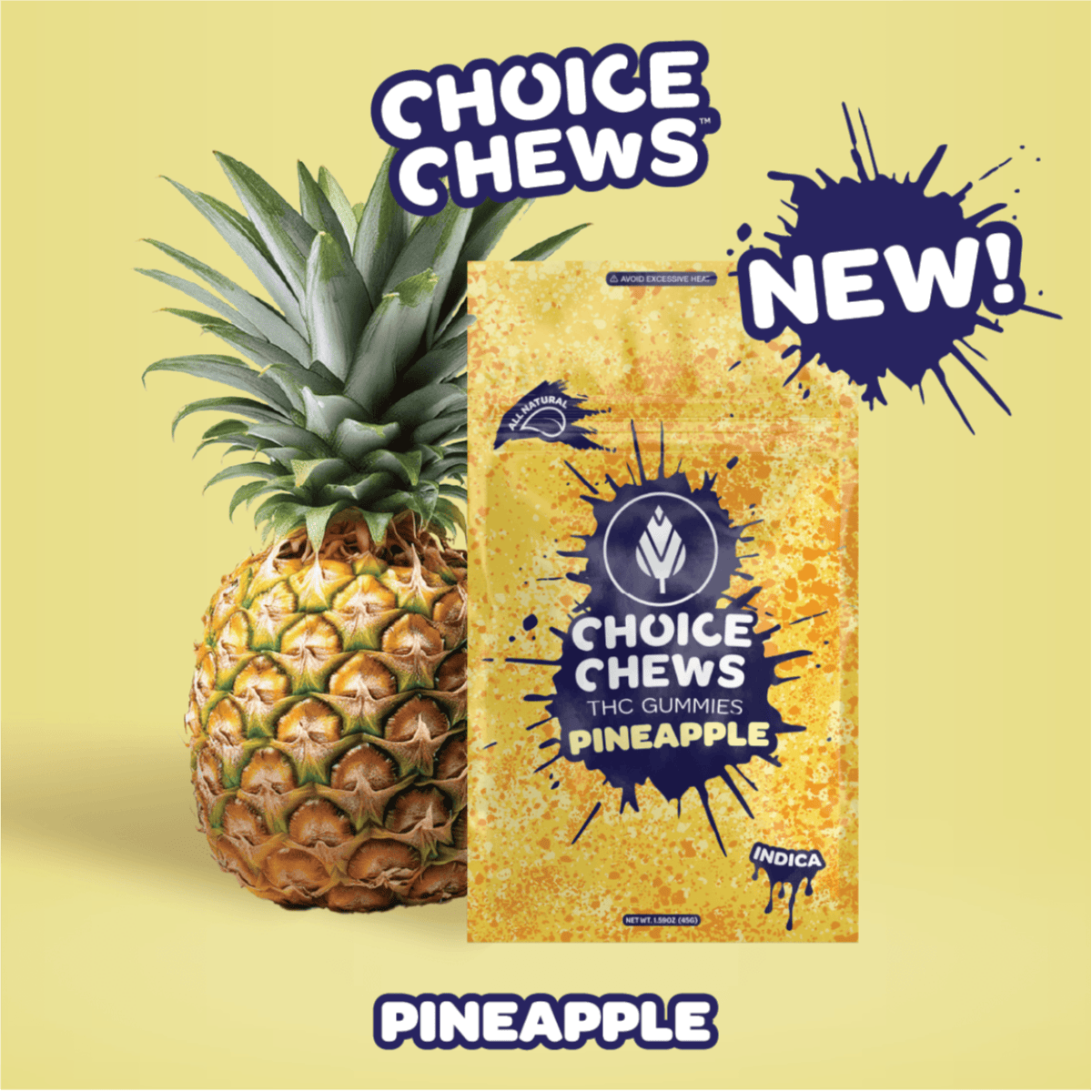Product Pineapple | Gummies 10pk