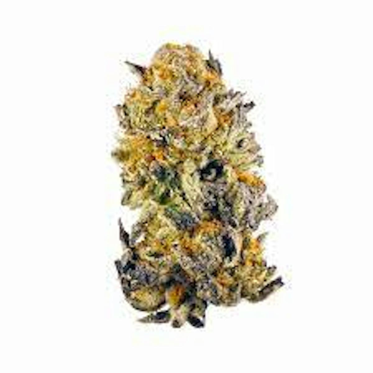 Image of Gusher x Runtz | 3.5g Flower