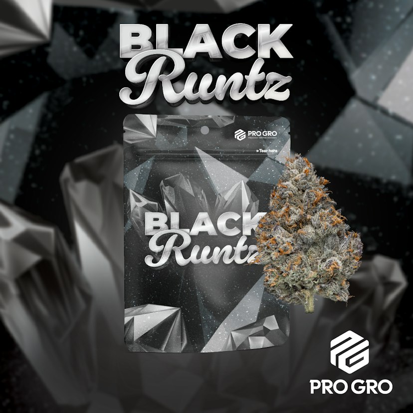 Black Runtz 3.5g Flower