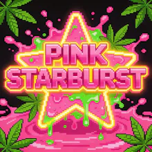DELI - Pink Starburst - FLOWER by Narvona at King of Budz
