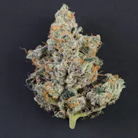 Product Impressed - Truffle Cake Flower (3.5g)