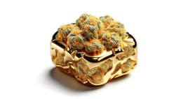 Edibles category image