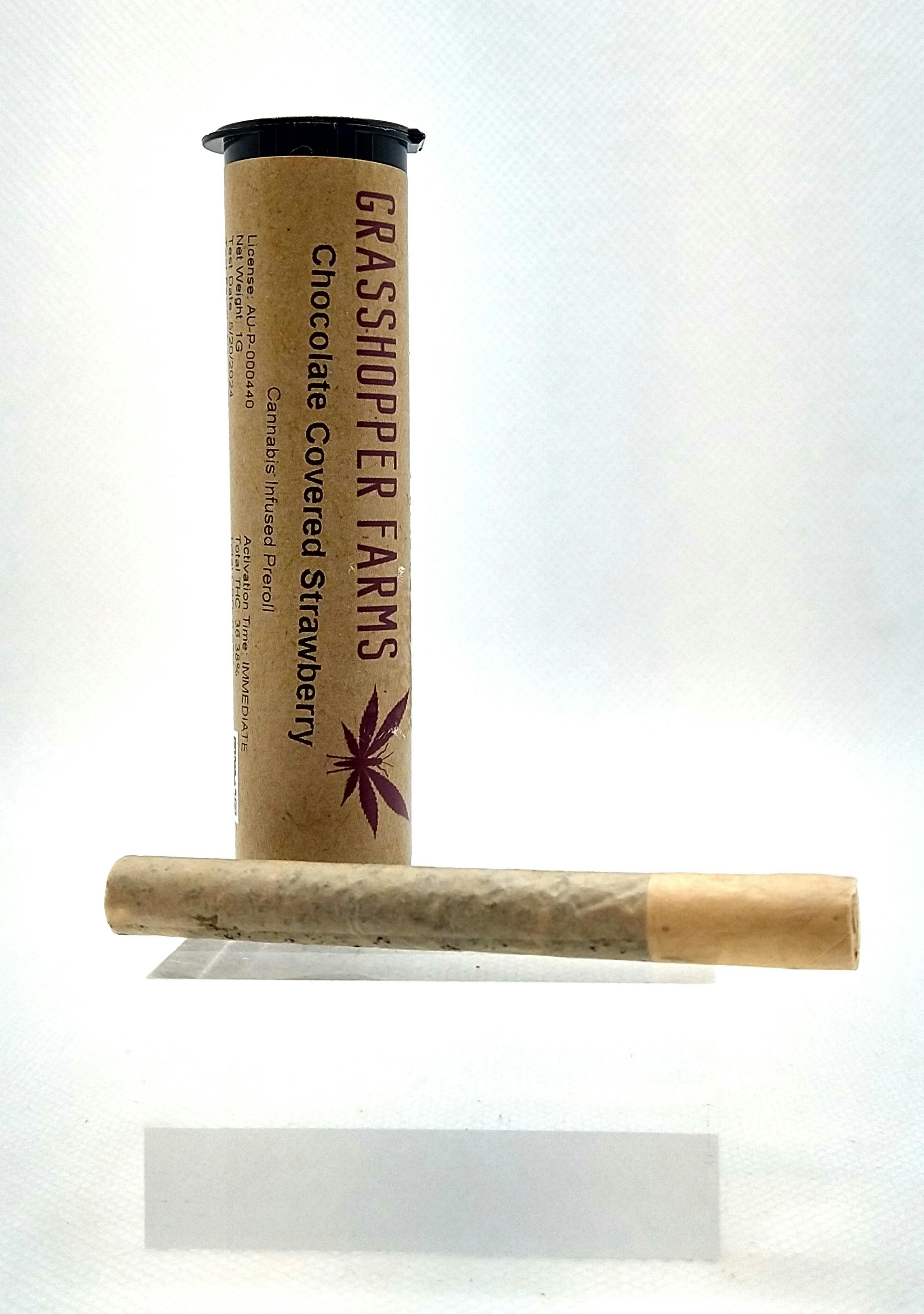 Grasshopper Farms | Chocolate Covered Strawberry | Infused Pre-roll | 1g | Indica
