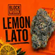 Lemon Lato