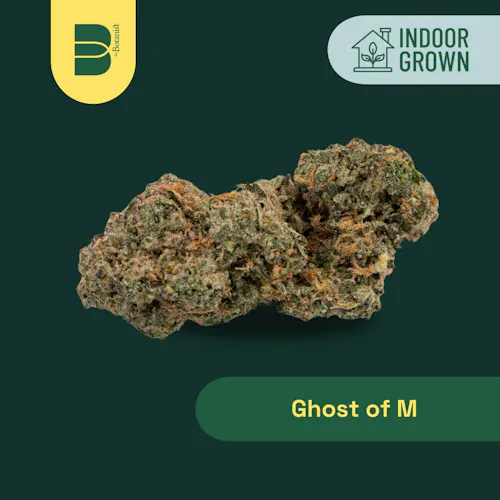 Botanist | Ghost Of M | 14G Flower-1
