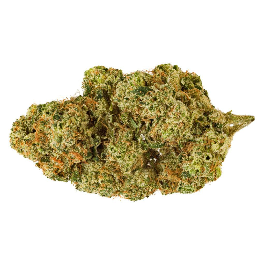 San rafael '71 - electric honeydew