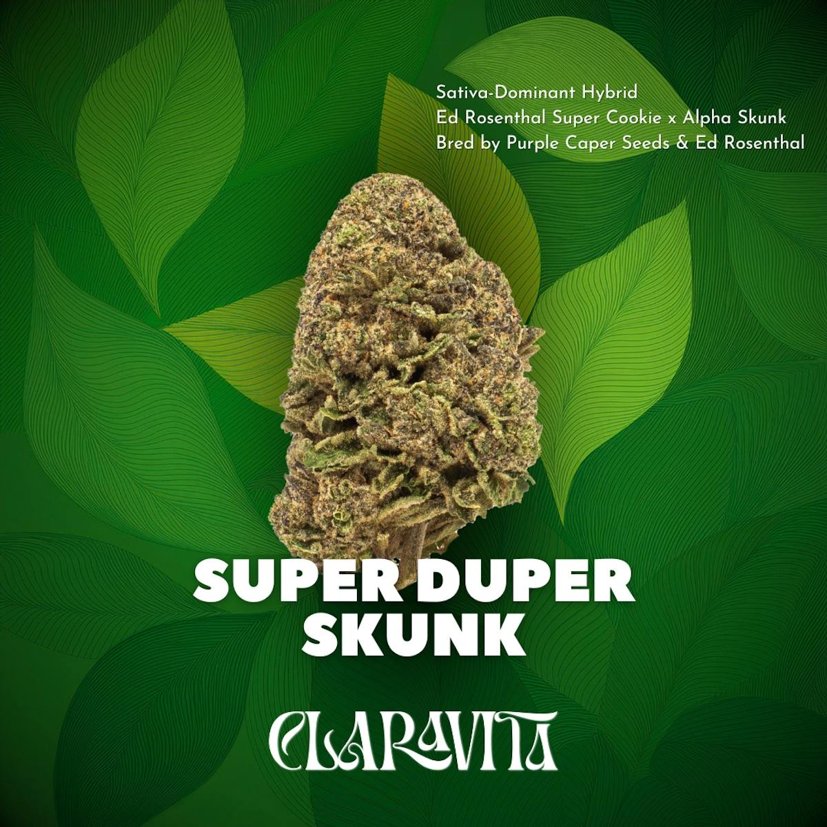 Photo of Super Duper Skunk 3.5g Flower Claravita