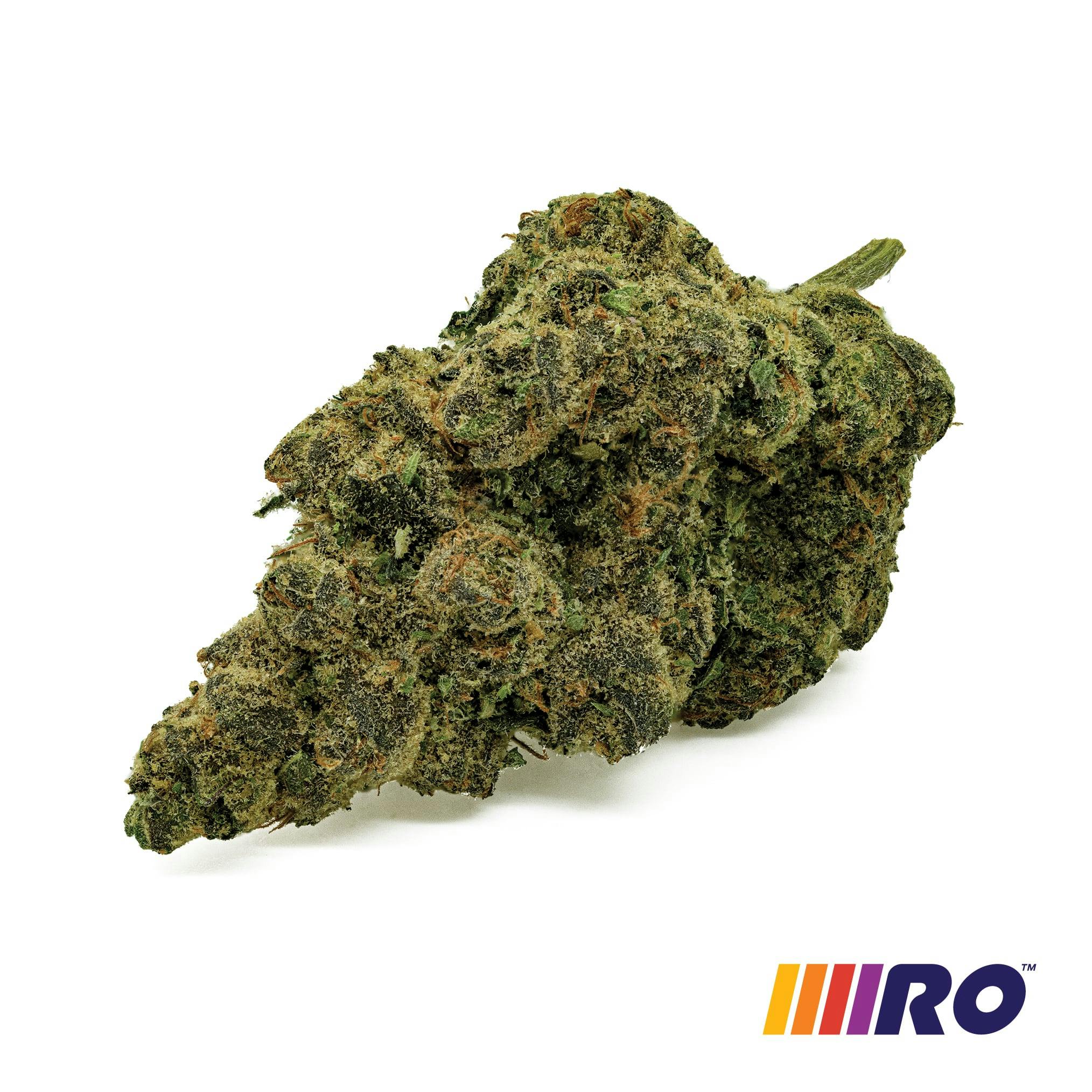 Funk Mountain Flower