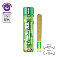 Honeydew Jeeter XL Infused Pre-Roll | 2g - product image at King of Budz