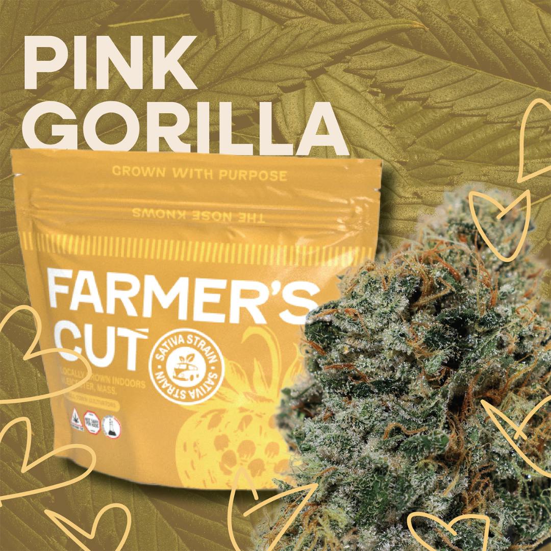 Flower | Farmer's Cut | Pink Gorilla | SDH | 3.5g image 0