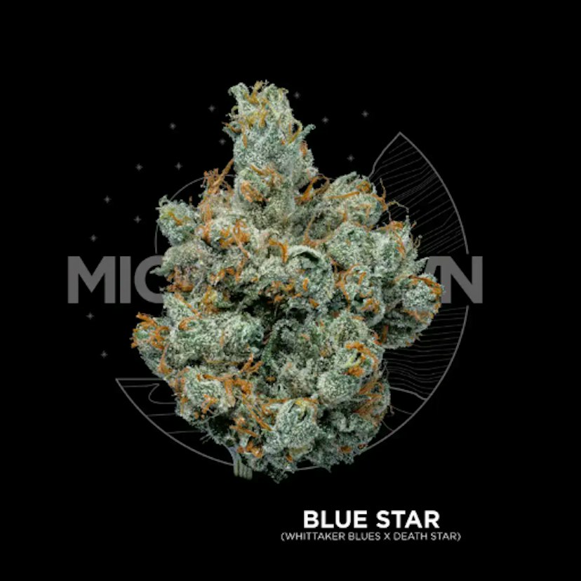 Michigrown | Blue Star