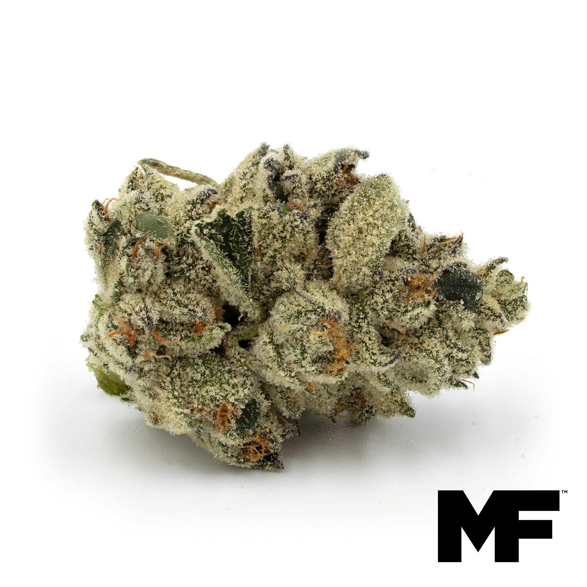 PNK CRTZ Flower