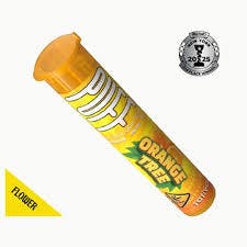 Puff | Orange Tree Preroll | 1g Puff