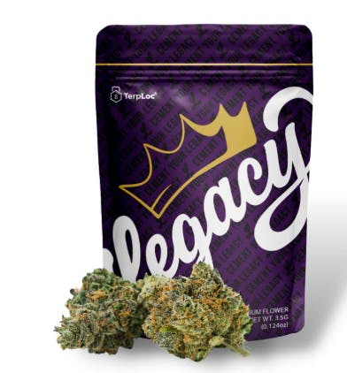 Blaze Shake Shelf Blaze Dosido Mintz (I) - Star Buds Cannabis
