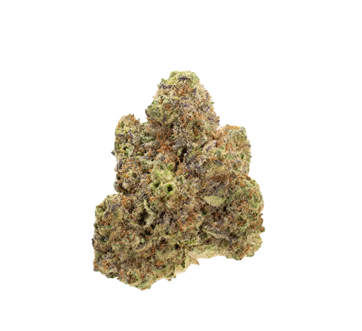 Platinum Shelf – Mac & Cheese (H) 1g Flower