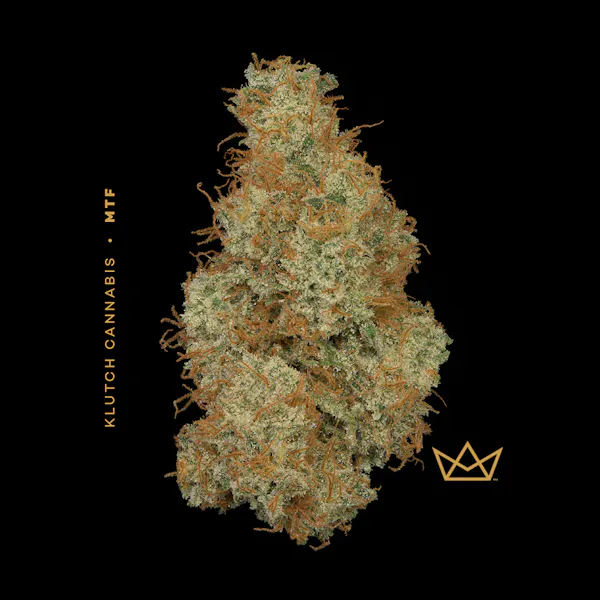 Pink Certz 2.83g Flower | Modern Flower |