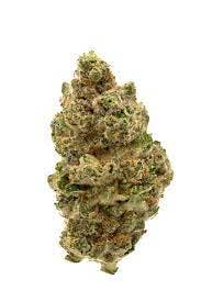 image of Dosido – 1g Pre-Roll – Headliners