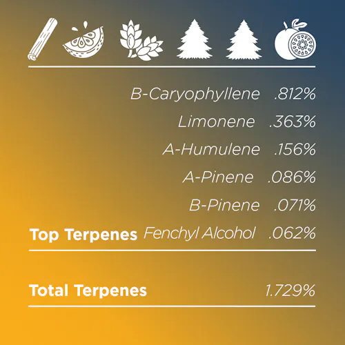 Deli Style | Farmers Daughter Pre-Ground | Sungrown – Hybrid-2