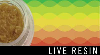 Product: Gummiez | Live Resin | Levitate