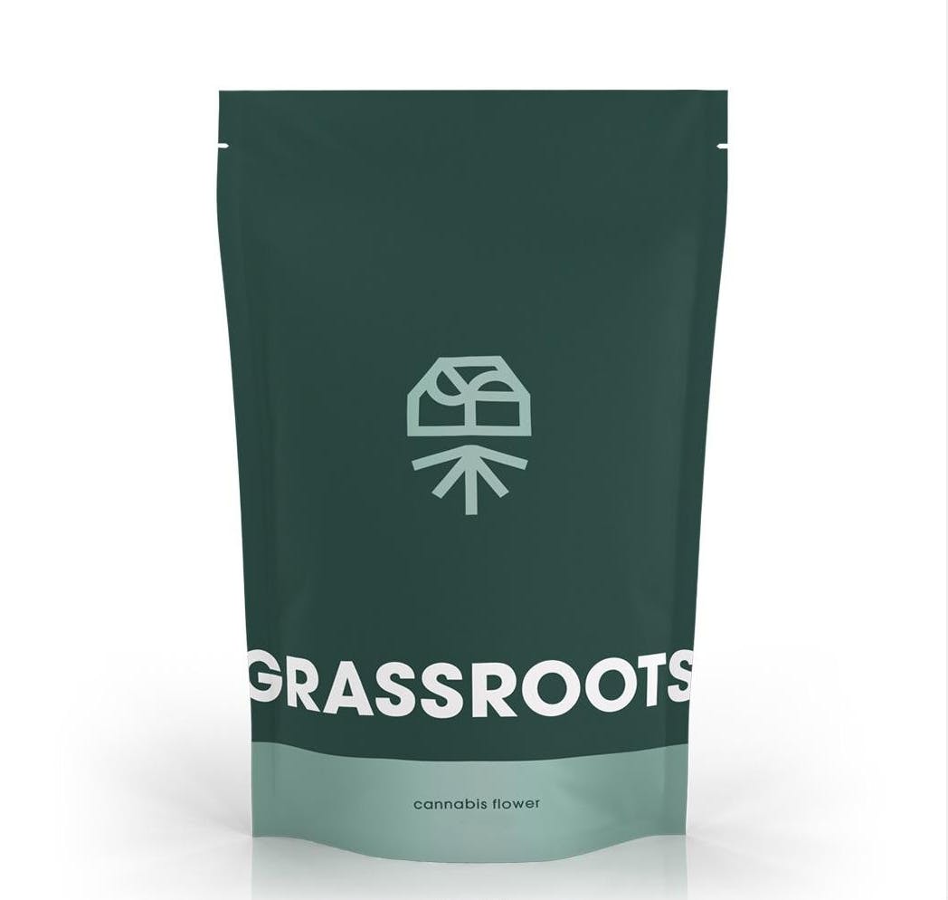 Grassroots | Flower | Orange Z at Dutchess Roots