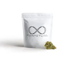 Product Perpetual | Scented Marker #10 | Shake