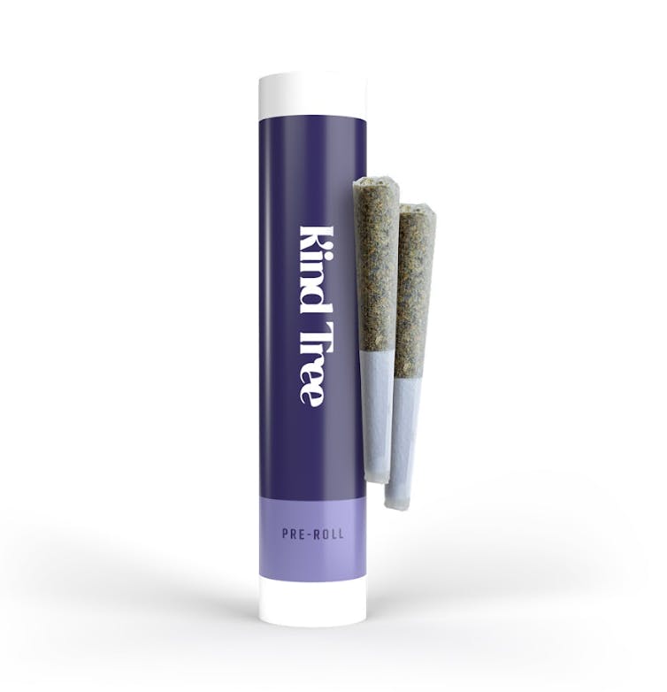 Kind Tree (TerrAscend) Grape Sitter | Flower | 3.5g - Union Chill