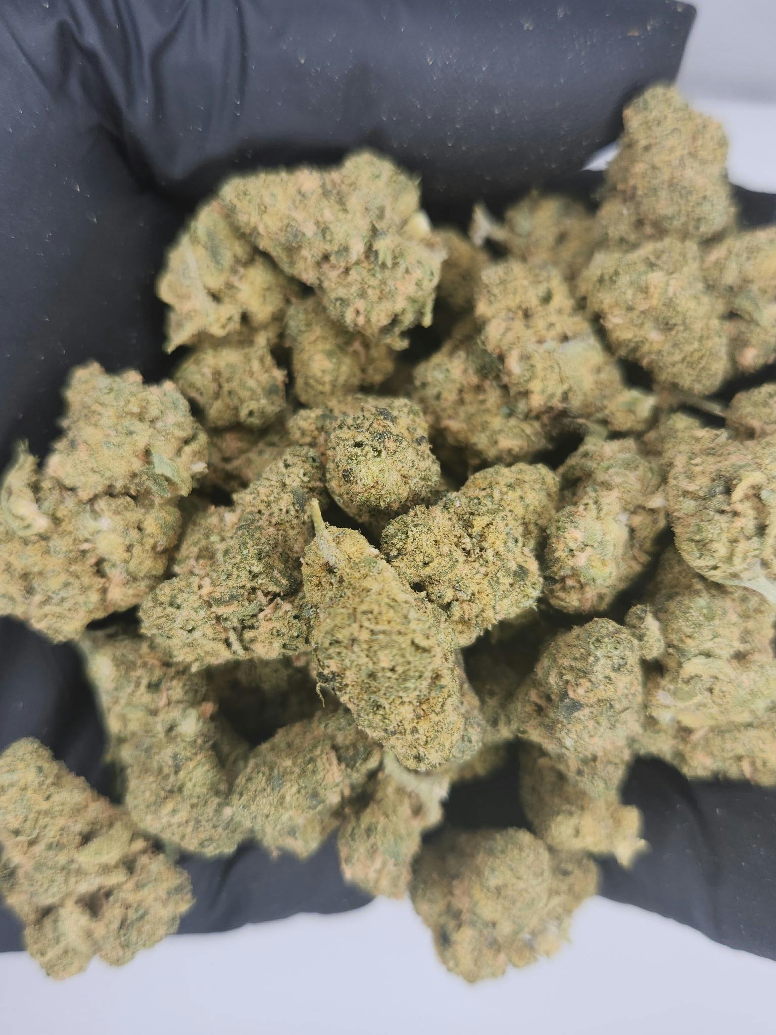 Product: Exclusive Brands | Bulk Bud - Lemon Cherry Gelato