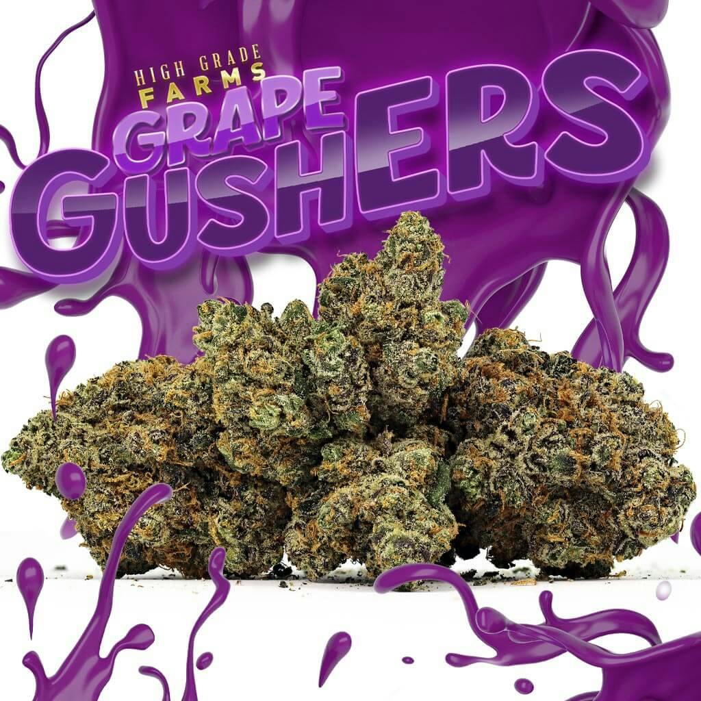 Product: High Grade | Bulk Bud - Purple Gushers