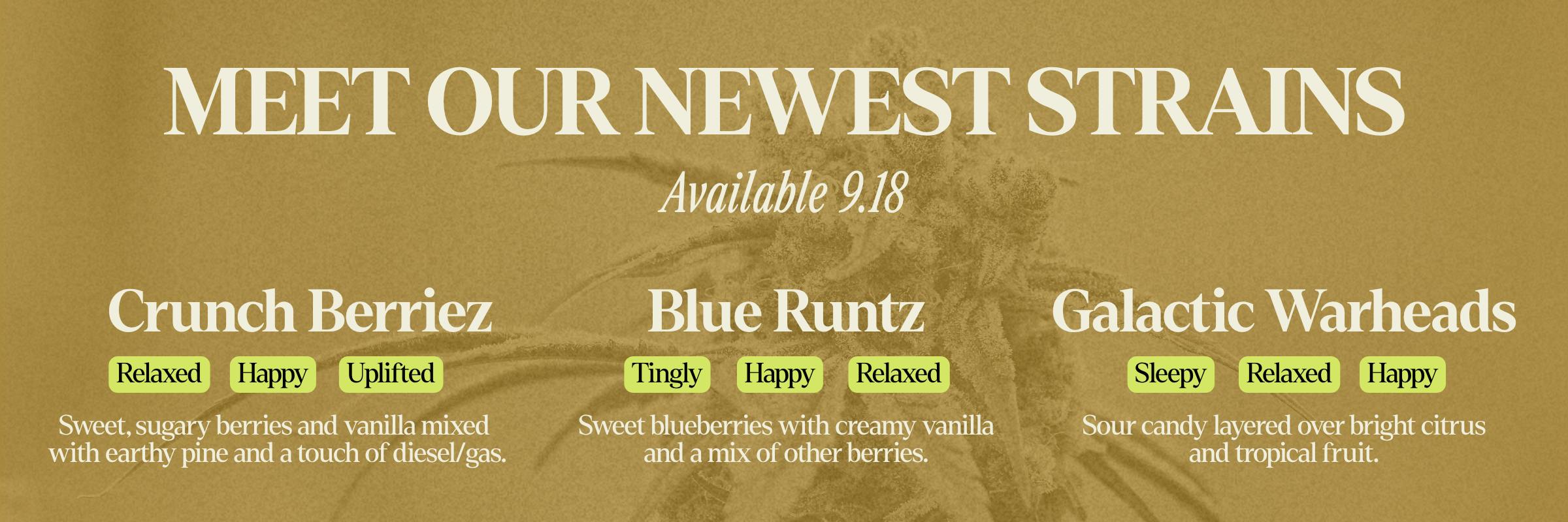 Three New Strains Available 9.18