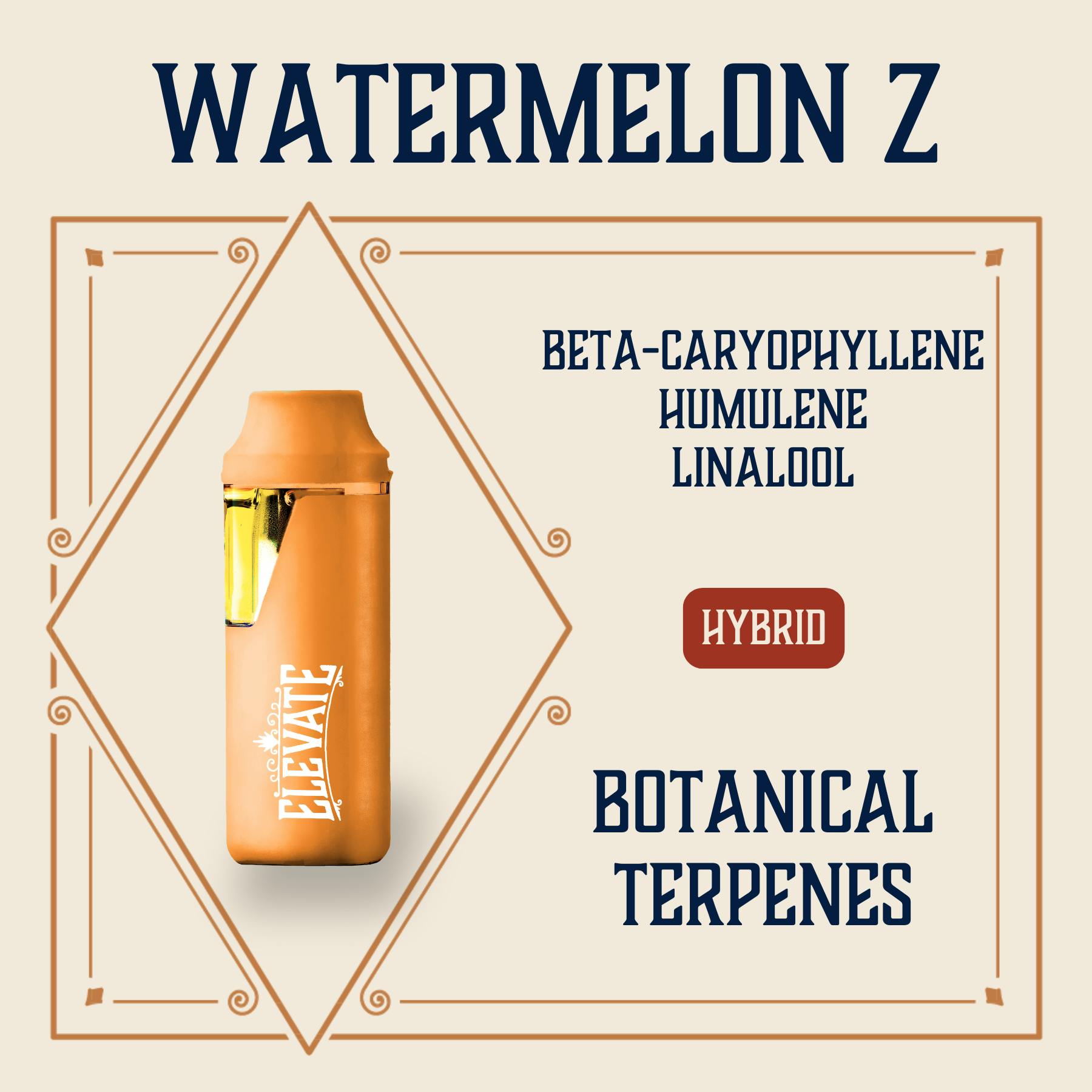 Watermelon Z Botanical Min-E-Bar | 1g | Key Missouri (Richmond