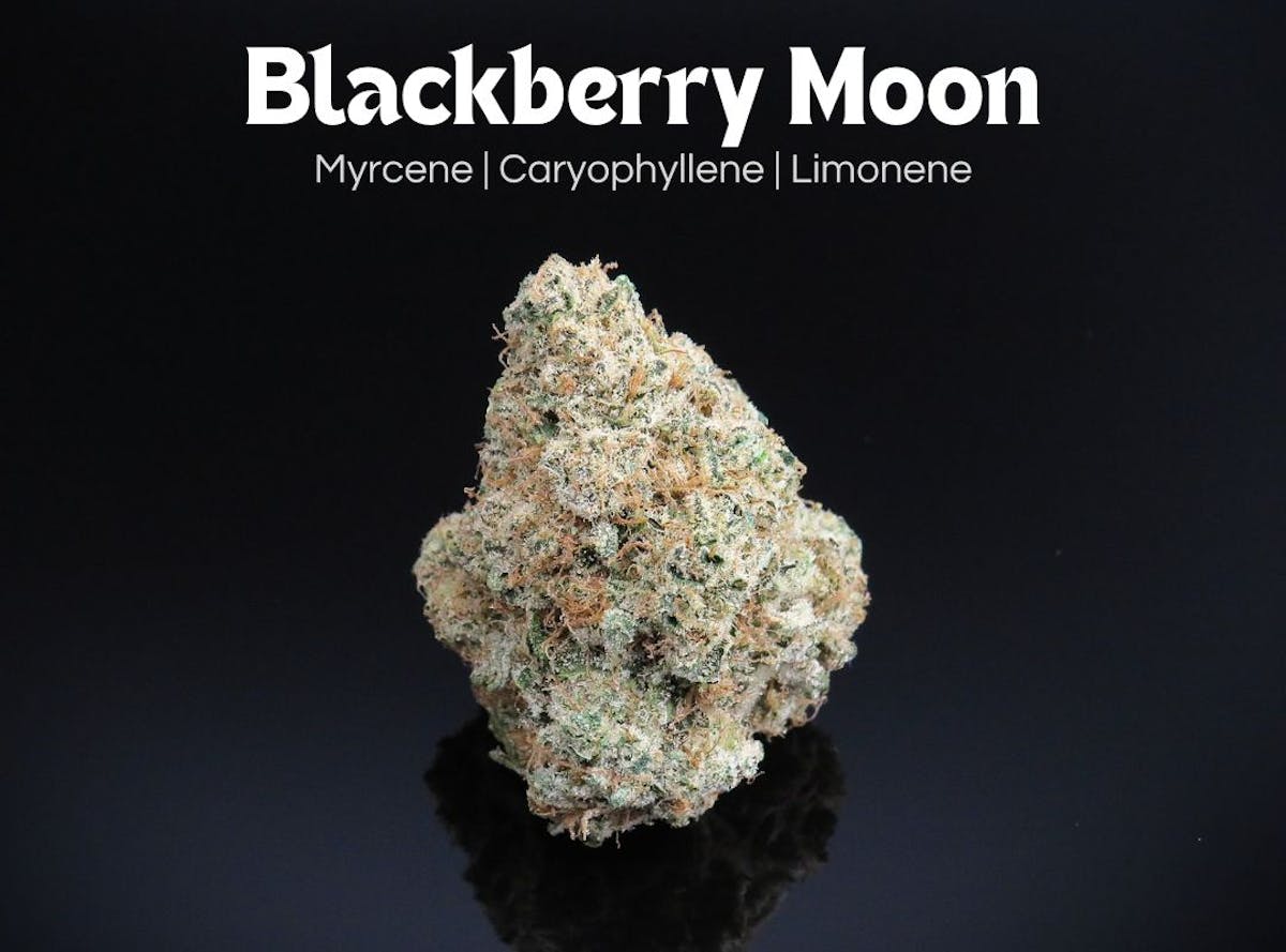 Photo of Blackberry Moon