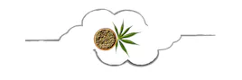 Seeds category image