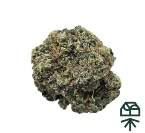 Novarine Flower