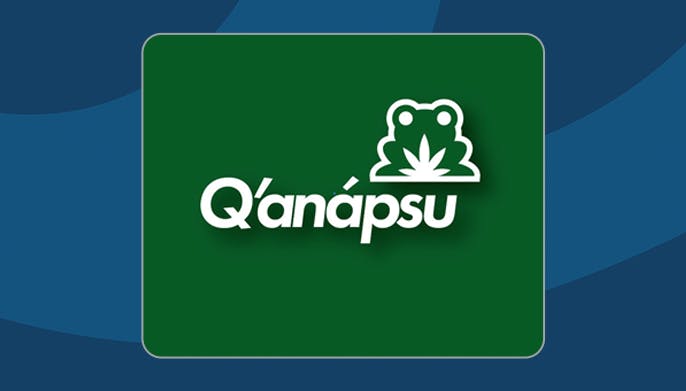 Q'anapsu logo
