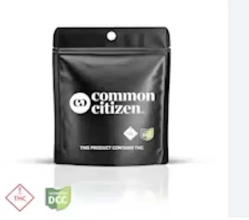 Gary P | Minis | 14.15g-1