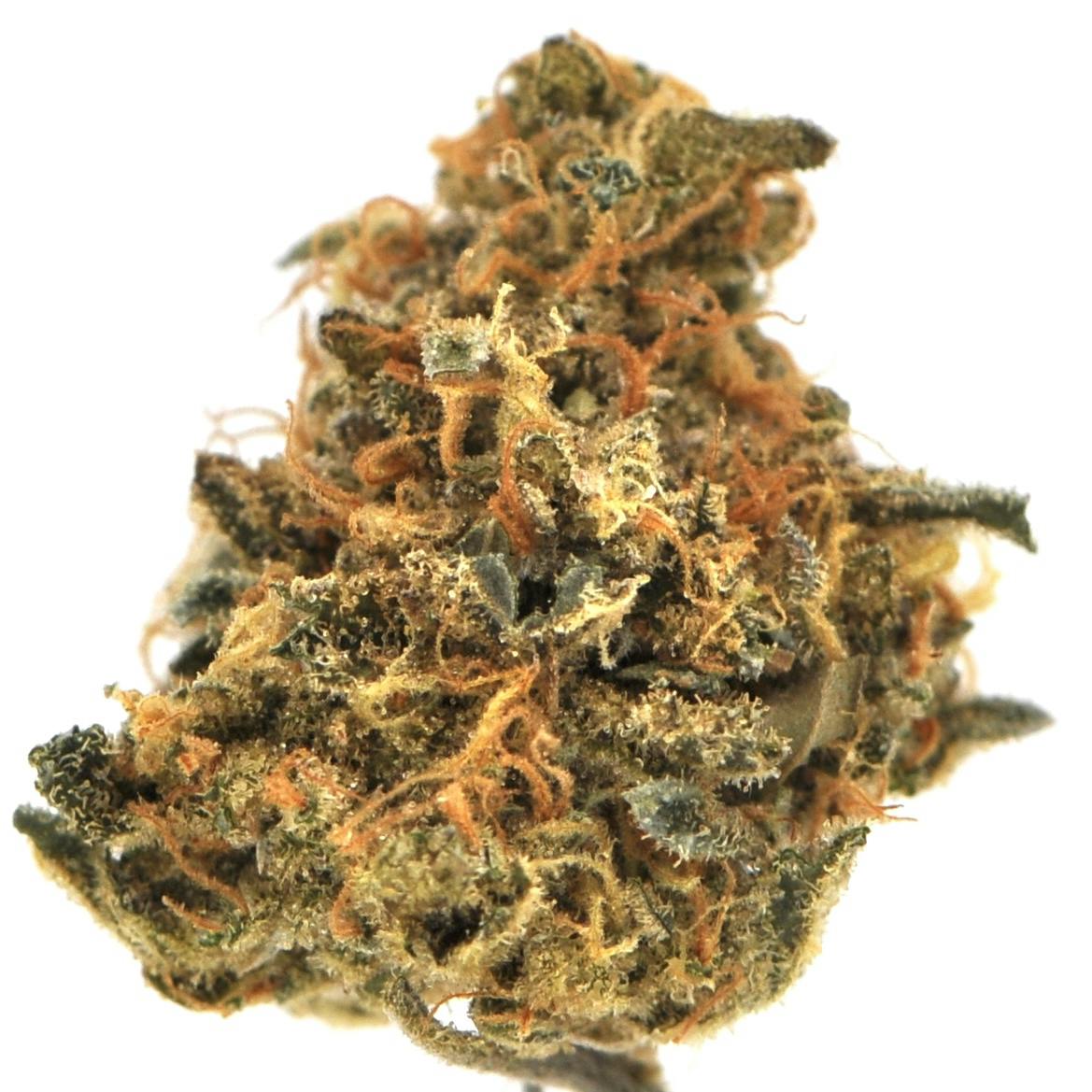 image of Garlicane | 3.5g Prepackaged Flower