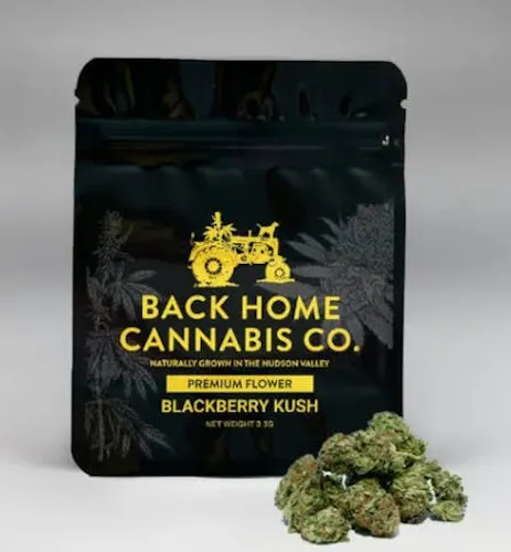 Blackberry Kush | Flower | 14g-1