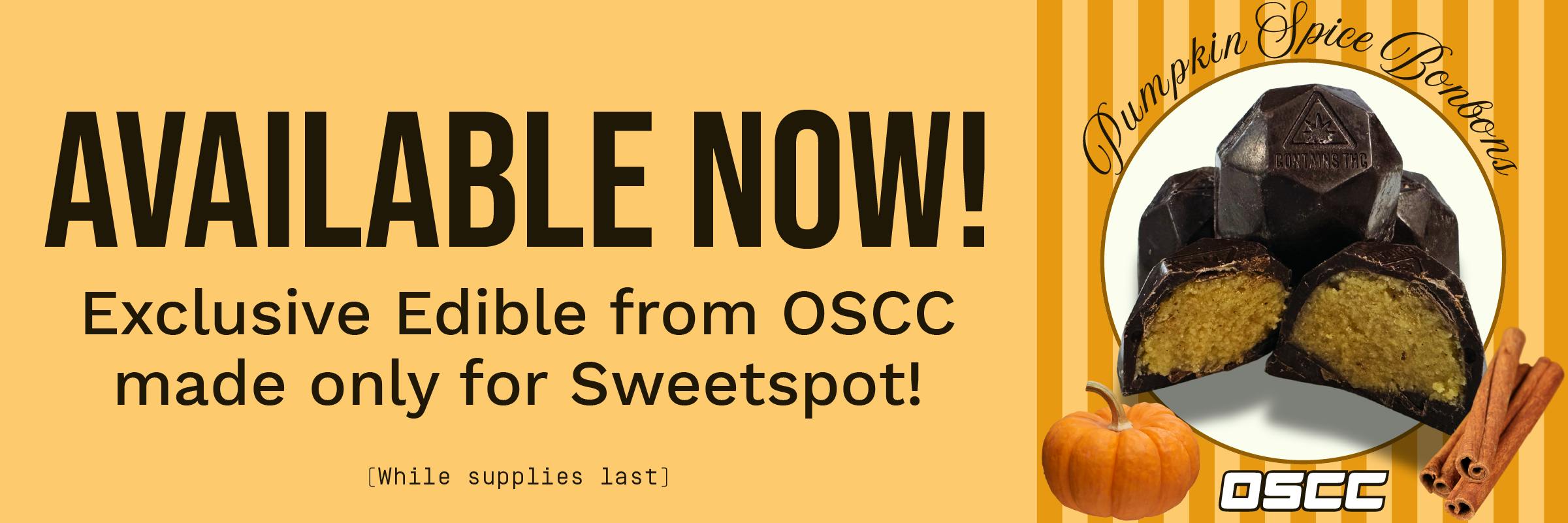 Exclusive Sweetspot X OSCC Pumpkin Spice Bonbons 