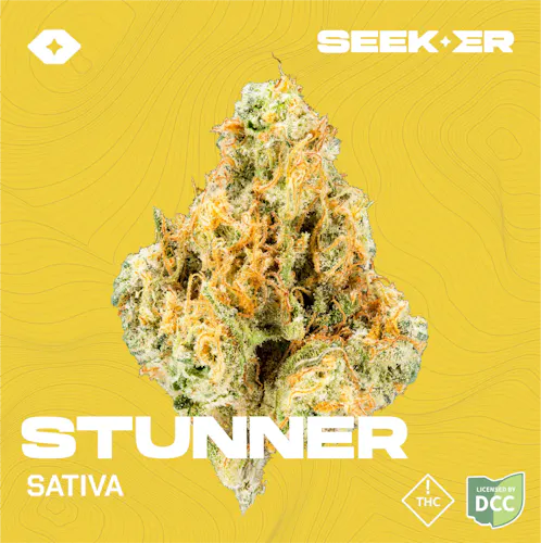 Seeker | Stunner (Buds) | 3.5g | Hybrid-1