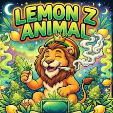 DELI - Lemon Z Animal - FLOWER by Mitten Extracts at King of Budz