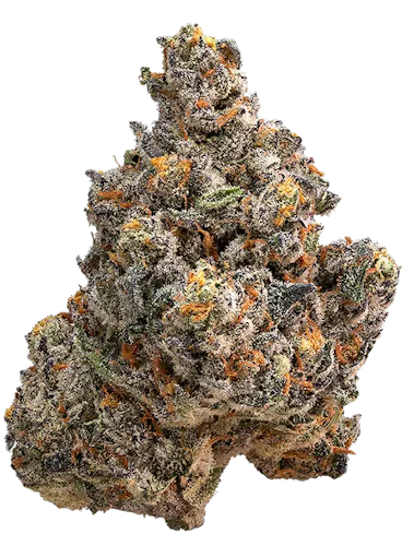 Fish Scale – Kosa Cannabis Dispensary Marlboro MA
