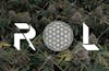 Rhythm of Life - 7g, 2 for $50