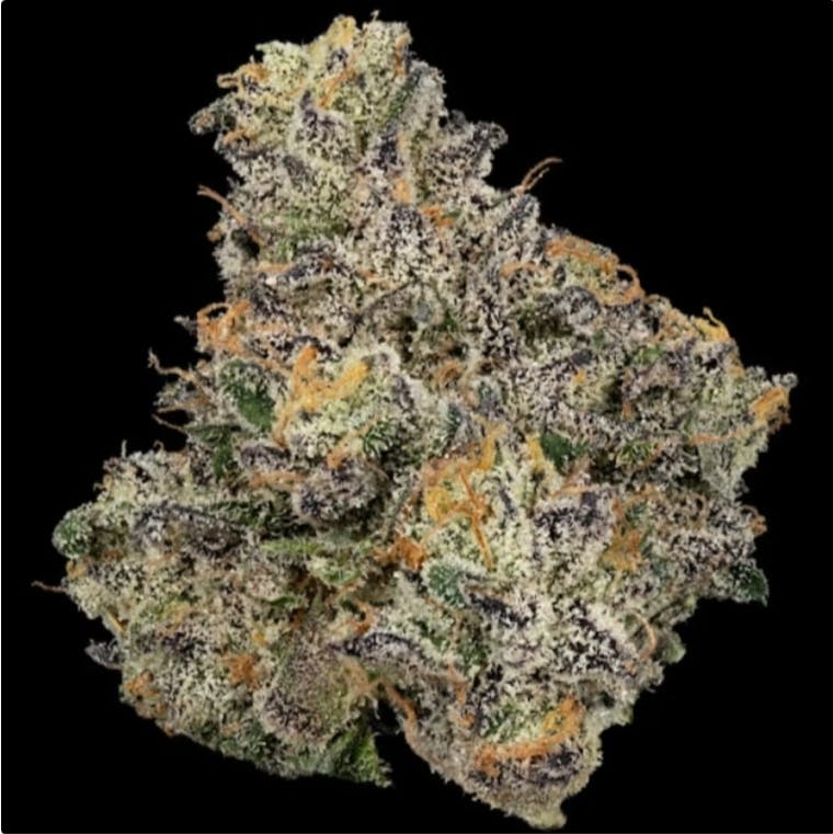 Product Sherb Cream Pie | Flower | 3.5g