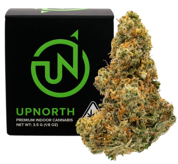 ばなな様 ZARA NEW WOMAN ARMY STYLE TABBED POCKET JACKET LIGHT KHAKI XS-XXL