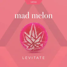 Levitate - 200mg Single Gummy - Mad Melon