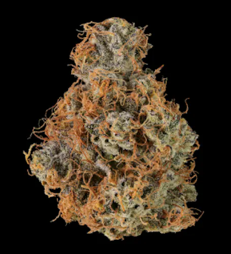 NEZ – Big Buns – 7g-1