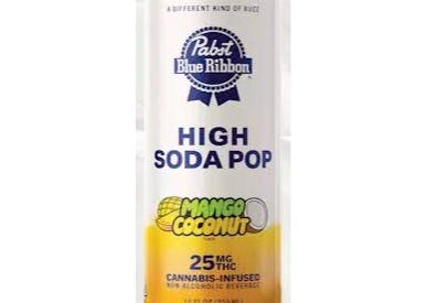 MANGO COCONUT INFUSED SELTZER 