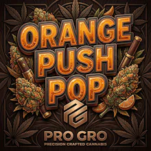 DELI - Pro Gro - Orange Push Pop