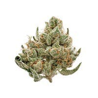Re-Upz: Boysenberry Kush in Tacoma | Zips on 38th