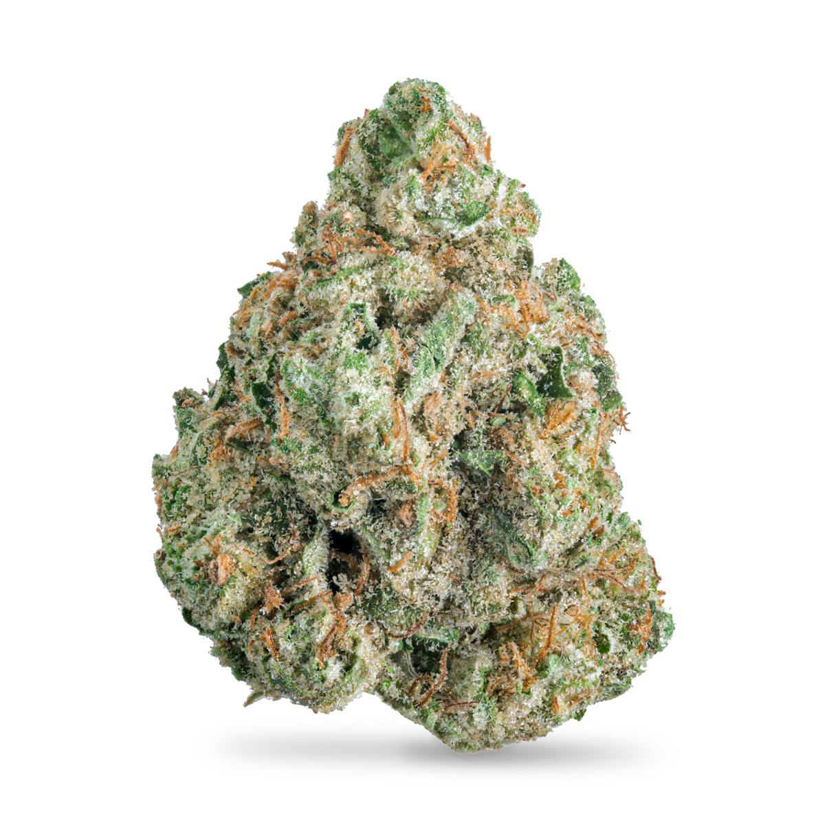 Photo of Animal Face x Kush Mintz #1